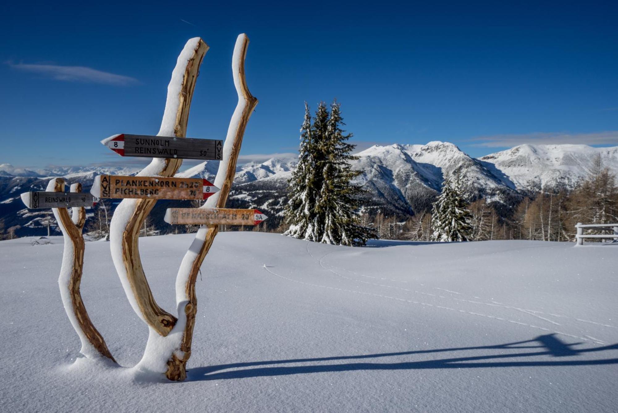 Panoramic Lotsch 호텔 Sarentino 외부 사진